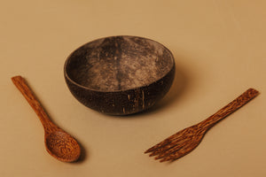 Coconut bowl