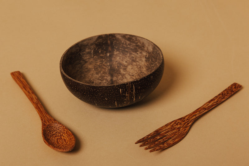 Coconut bowl